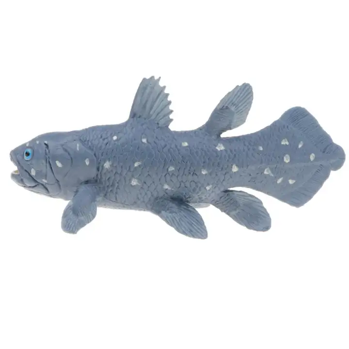 coelacanth toy