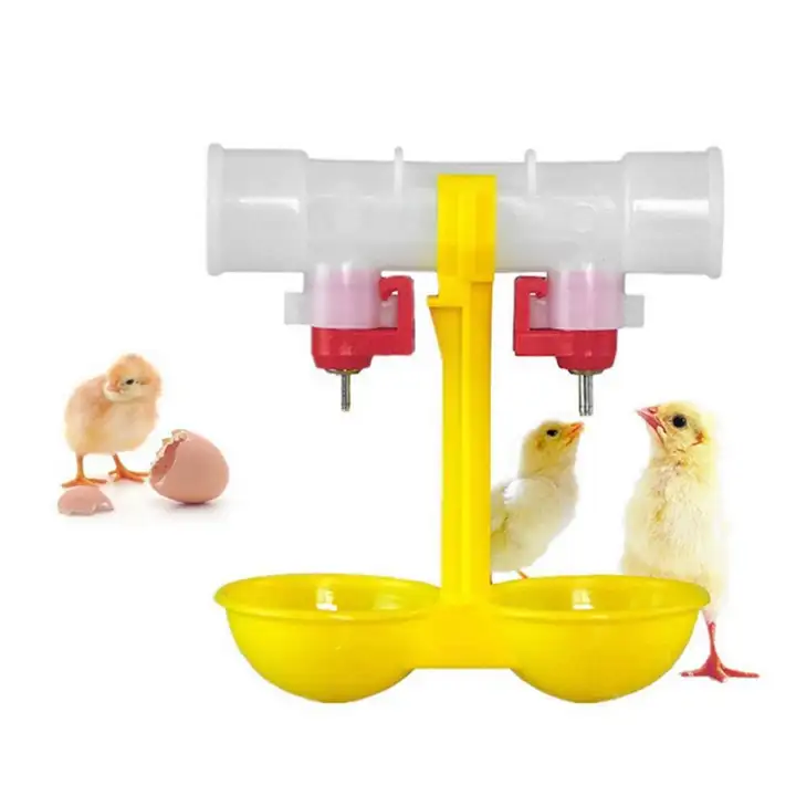 4 Pcs Double Feeder Drinker Chicken Drinking Fountain Cup Poultry