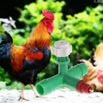 10 Pcs Bag Chicken Feeder Water Drinker Cup Automatic Poultry