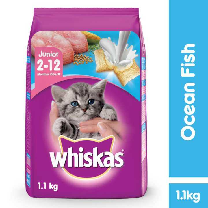 WHISKAS Junior Ocean Fish 1.1kg Dry Food Cat Food Lazada