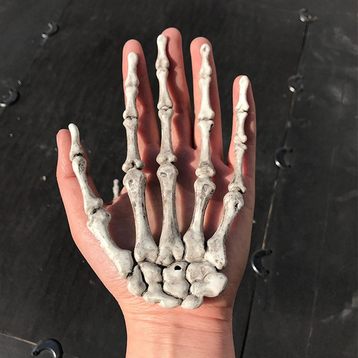 Miscevious Skeleton 【การจัดส่ง + ข้อเสนอฉับพลัน】2x Skeletonกรงเล็บกะโหลกมือกระดูก ...