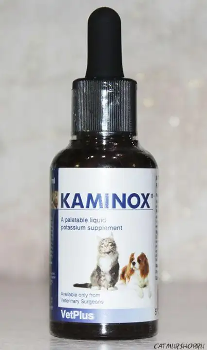 potassium supplement for cats