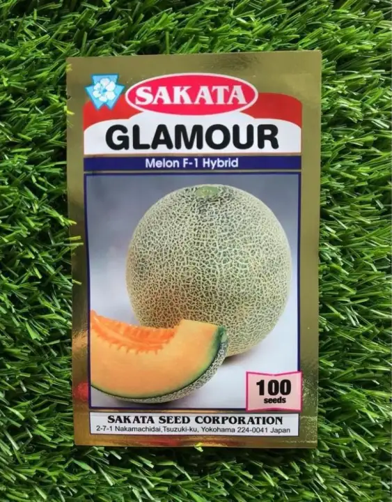 Benih Rock Melon Sakata Glamour F1 Hybrid 100pcs Pack Lazada