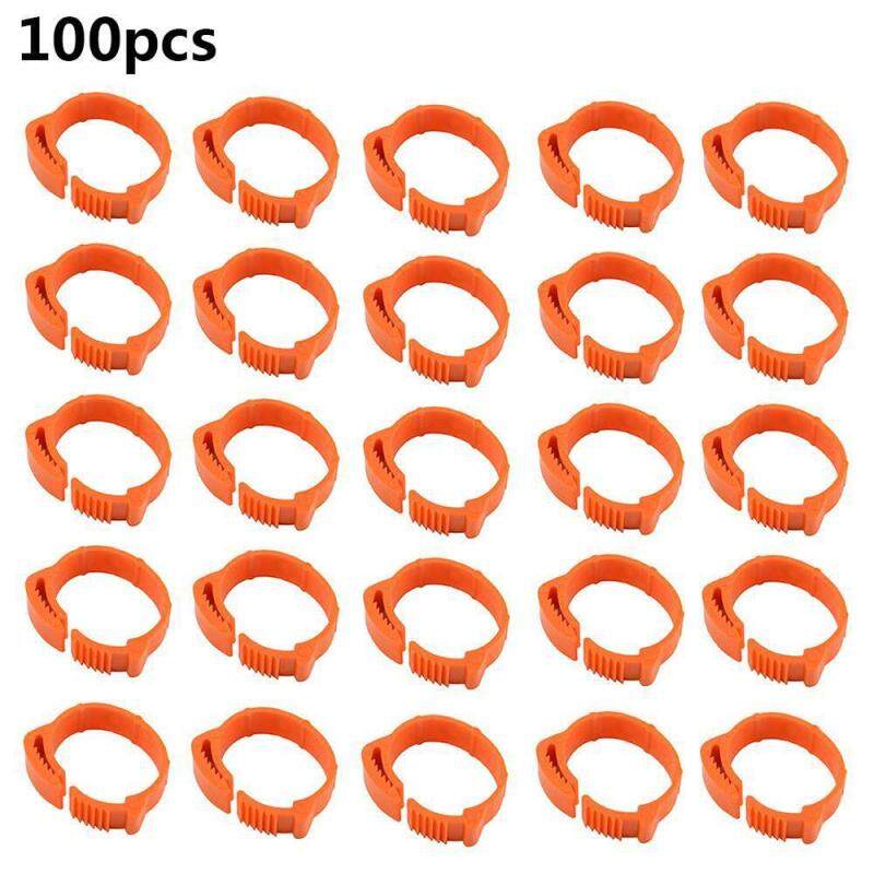LightSmile 100 Cái Đường Kính Trong 20 ~ 24 Mét Nhựa Mở Loại Khóa Gà Vịt Ngỗng 3 Màu Kỹ Thuật Số Foot Ring Gia Cầm Farming Thiết Bị