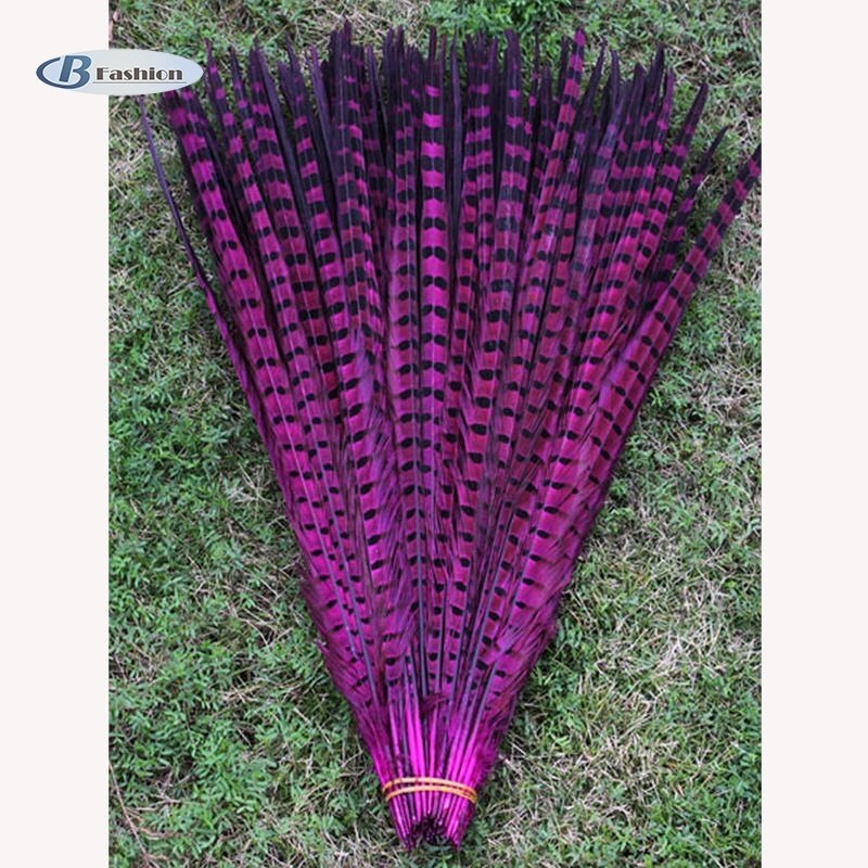 B-F 10 Root Beautiful Pheasant Feather Multicolor Handwork Ornaments 30-35cm