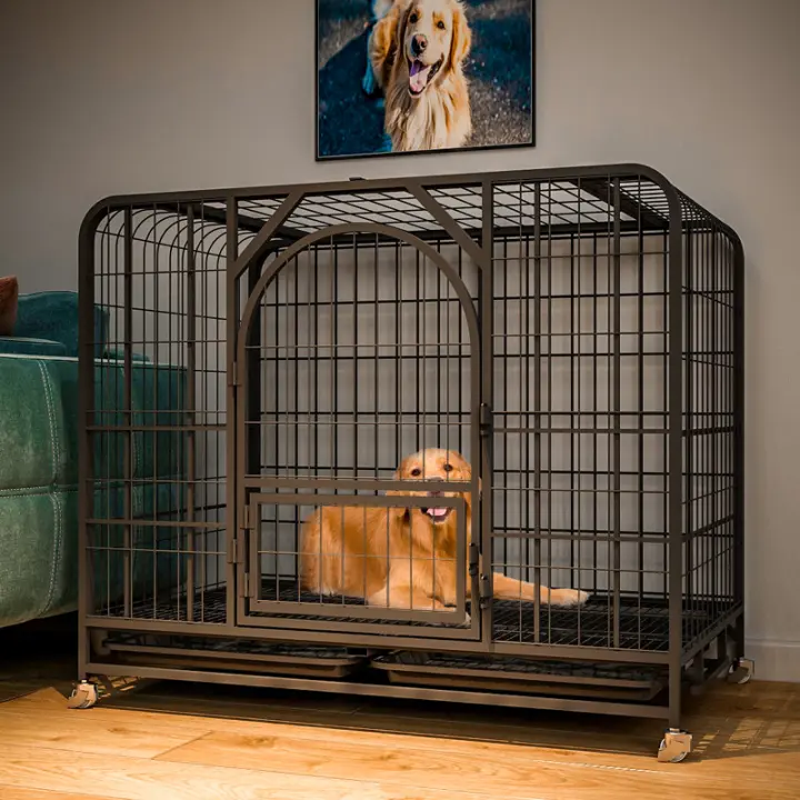 Dog cage for medium sized dog Clearance