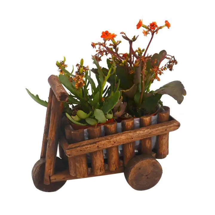 Rustic Planter Succulent Garden Decor Ornamental Mini Wheelbarrow Home Office Wooden Cart Tabletop Flower Pot Lazada Singapore - Ornamental Garden Wagon Wheels Rustic Planter Succulent Garden Decor Ornamental Mini Wheelbarrow Home Office Wooden Cart Tabletop Flower Pot Lazada Singapore - Ornamental Garden Wagon Wheels