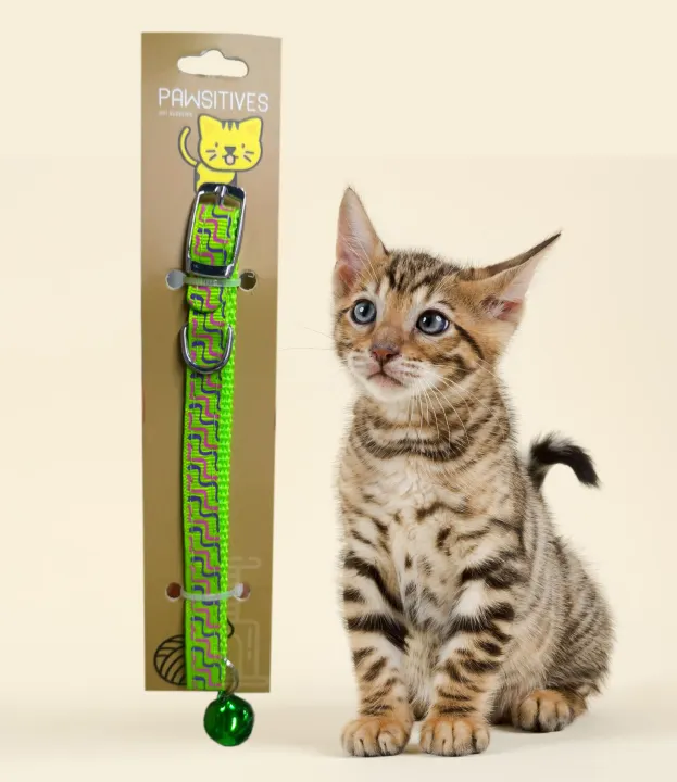 cat neck belt online