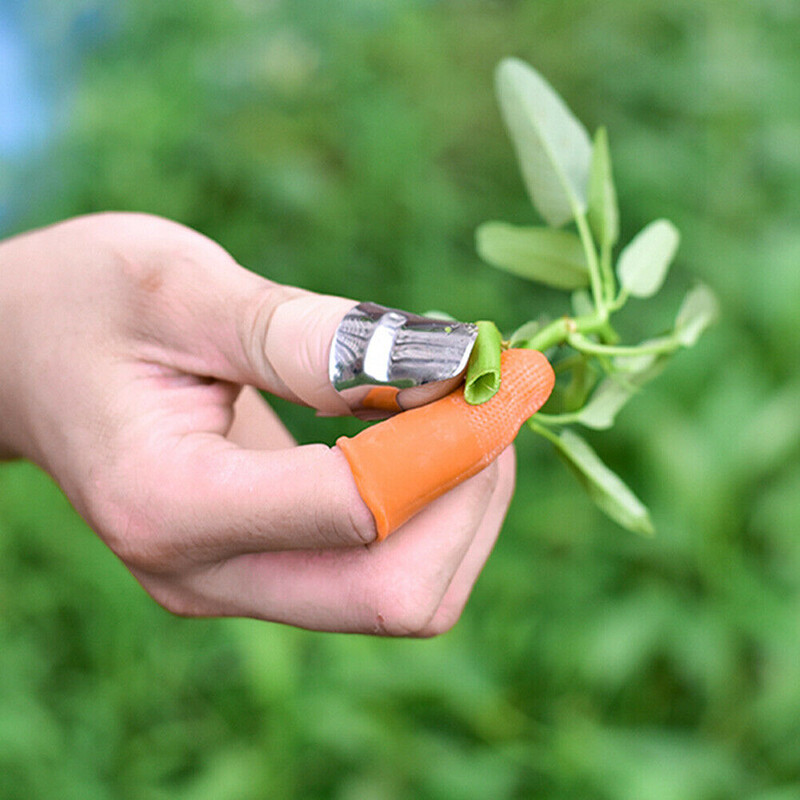 Găng Tay Cắt Kéo Rau Củ Mới Dụng Cụ Làm Vườn Dụng Cụ Bảo Vệ Ngón Tay Dao Ngón Cái