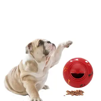 Toys For Dogs Dog Interactive Toy Pet Dog Cat Puppy Teeth Ball