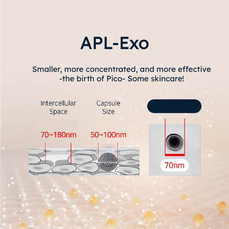 美容液 EXONINE DERMACODE SNOW INFUSIN AMPOULE Ruby-Cell Exonine Dermacode Snow Infusin Ampoule – Antiaging
