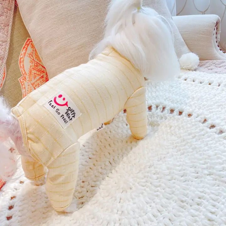 dog inside teddy bear