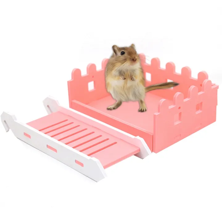 plastic hamster ladder