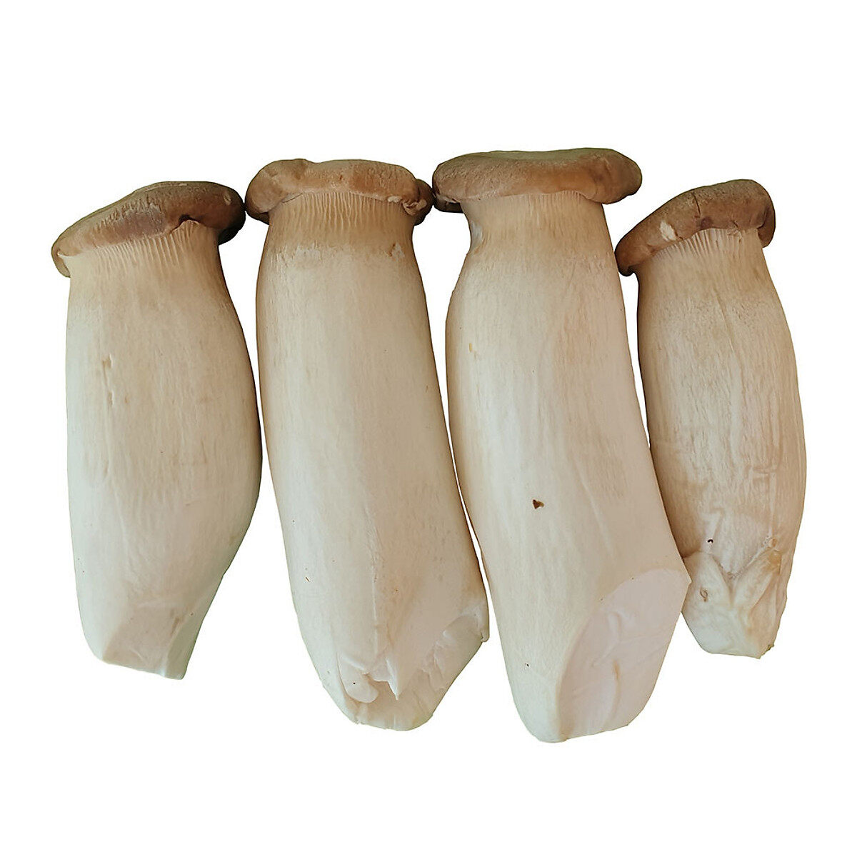 Nấm đùi gà - 500g