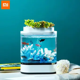 aquarium mini lazada