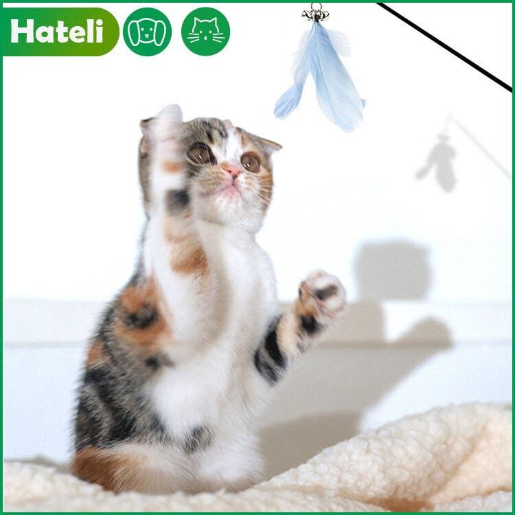 【HATELI】The New Funny Cat Stick Carbon Fiber Rod Reinforced Toughness Solid Wood Handle Retractable Funny Cat Stick