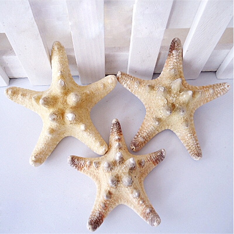 Sanhe 2pcs DIY Natural Starfish Sea Star Shell Aquarium Landscape Making Craft Decor