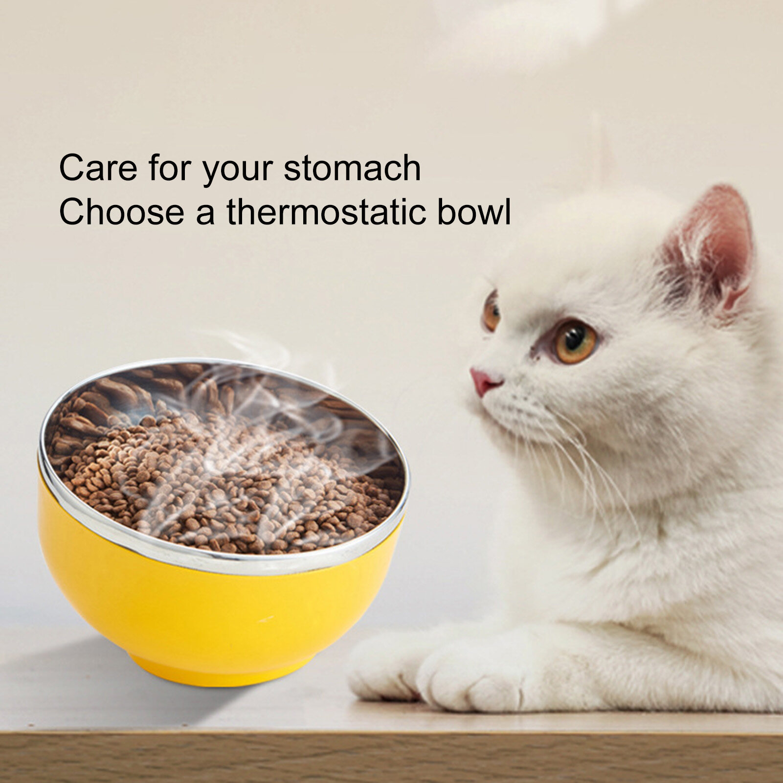 angled food bowl for cats