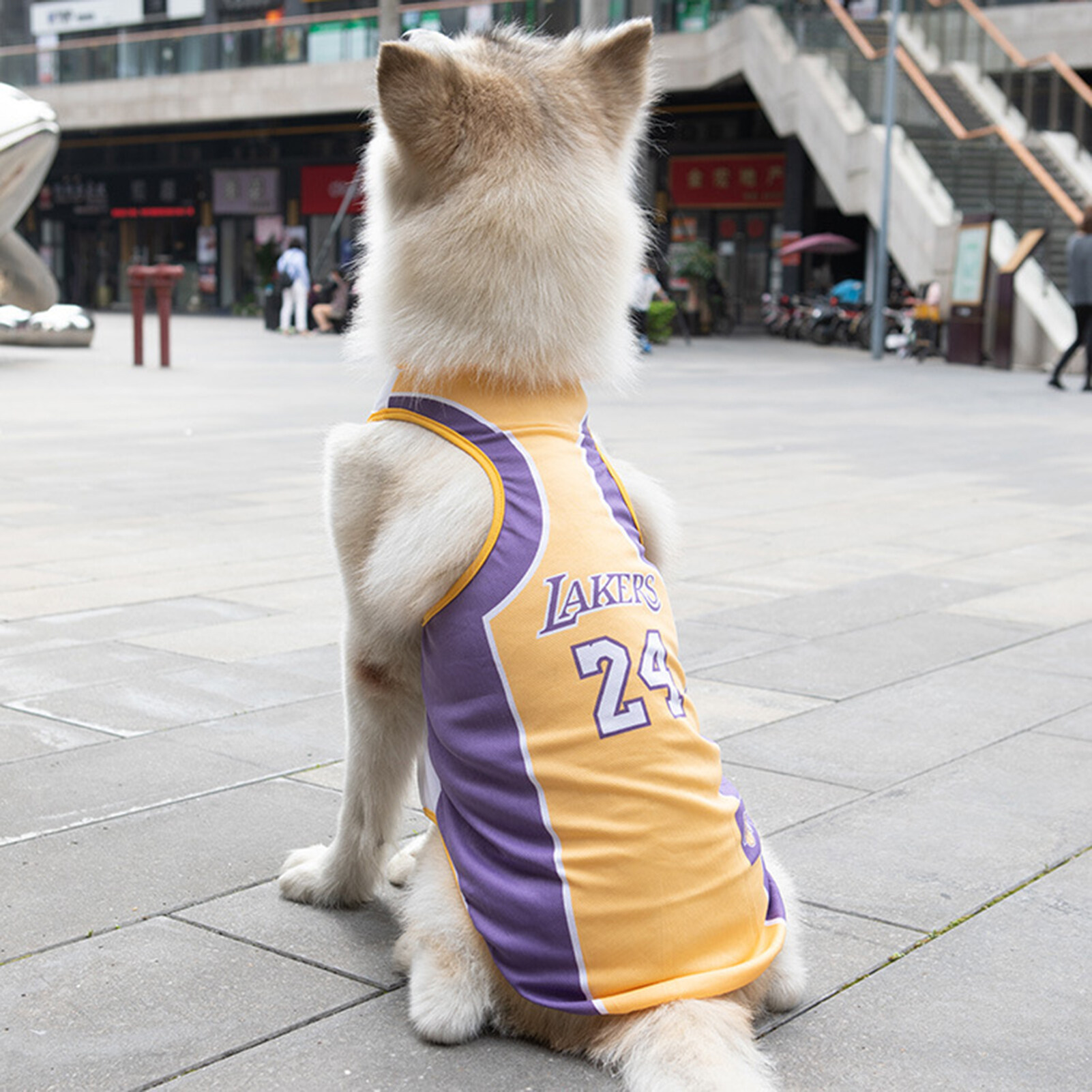 1pc Fashion Pet Clothes Vest Basketball Jersey T-Shirt Sportswear Mesh