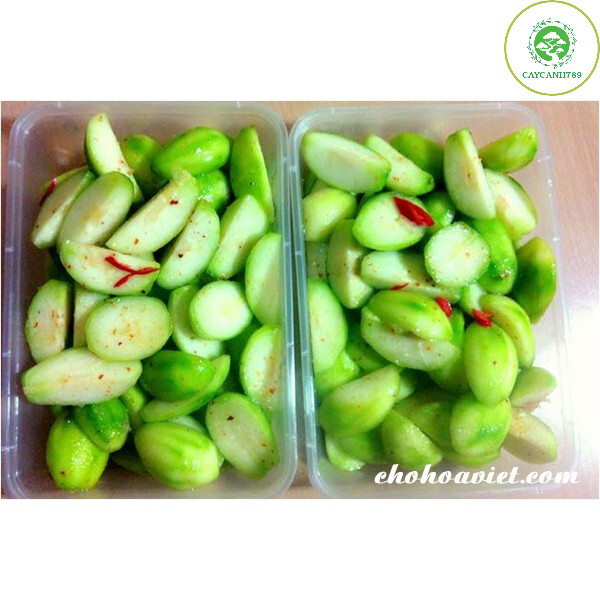 Cây cóc thái đã có hoa (ảnh thât)