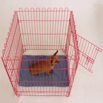 pomeranian cage