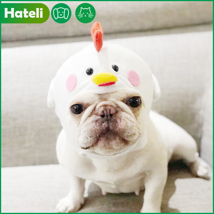 【HATELI】Pet Hat Chick Headgear Pet Headgear Dog Headgear Pet Supplies Cute Dog Hat