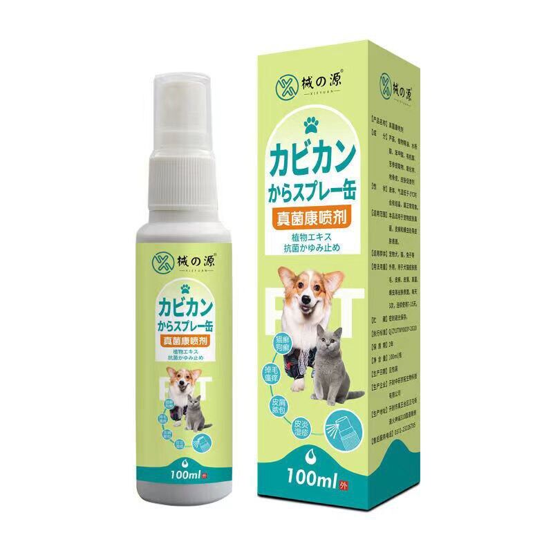 pet-fungal-infection-skin-disease-dog-and-cat-shedding-dermatitis