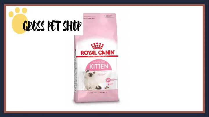 royal canin kitten 10kg price