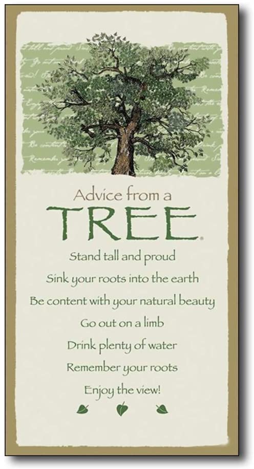 Advice From A Tree Quote