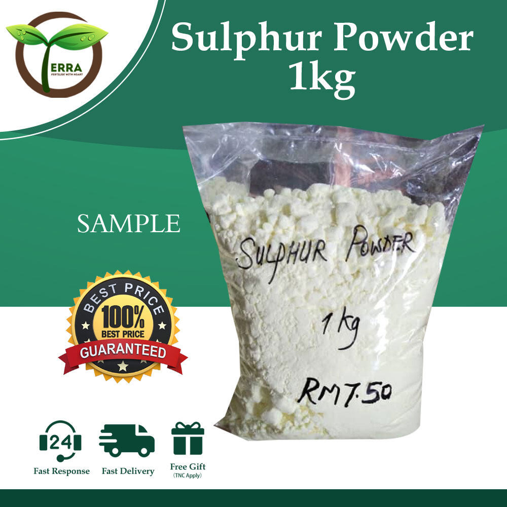 Ready Stock Quality Checked Sulphur Powder Racun Ular Sulfur Powder