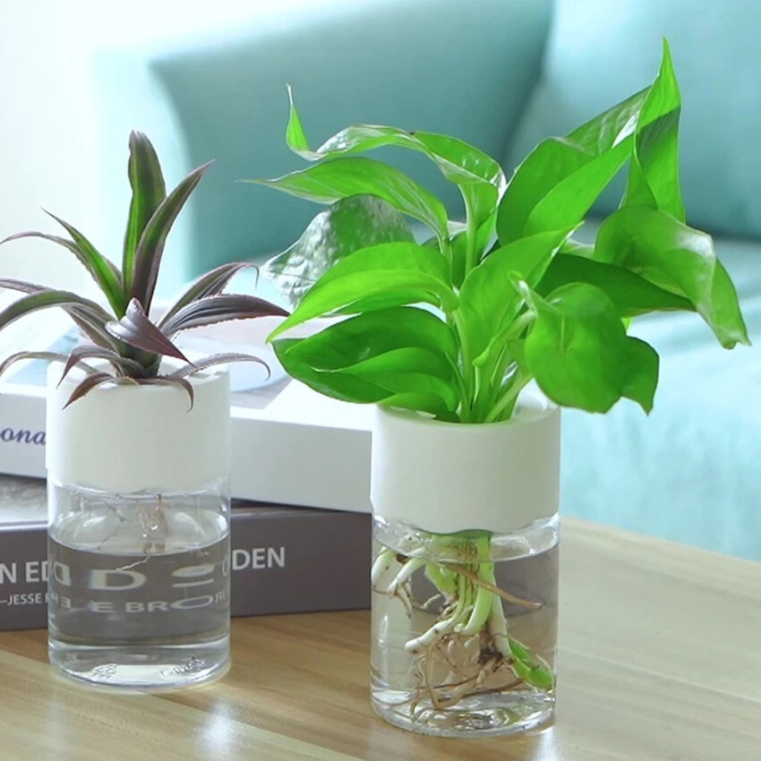 Transparent Hydroponic Flower Pot Water Planting Vase Container Plastic Tabletop Plants Bonsai Home Decoration