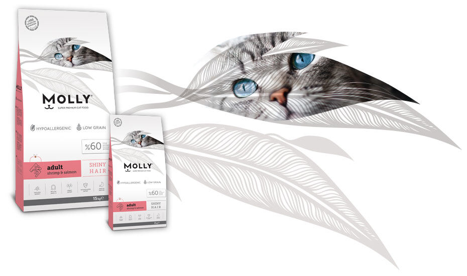 MOLLY CAT FOOD ORIGINAL 15KG & REPACK Lazada