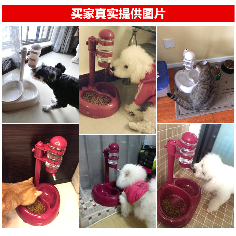 Bình Đựng Nước Treo Cho Chó Mèo, Bình Nước Uống Tự Động Cho Chó Mèo Uống Nước Uống Dọc Cho Chó Mèo