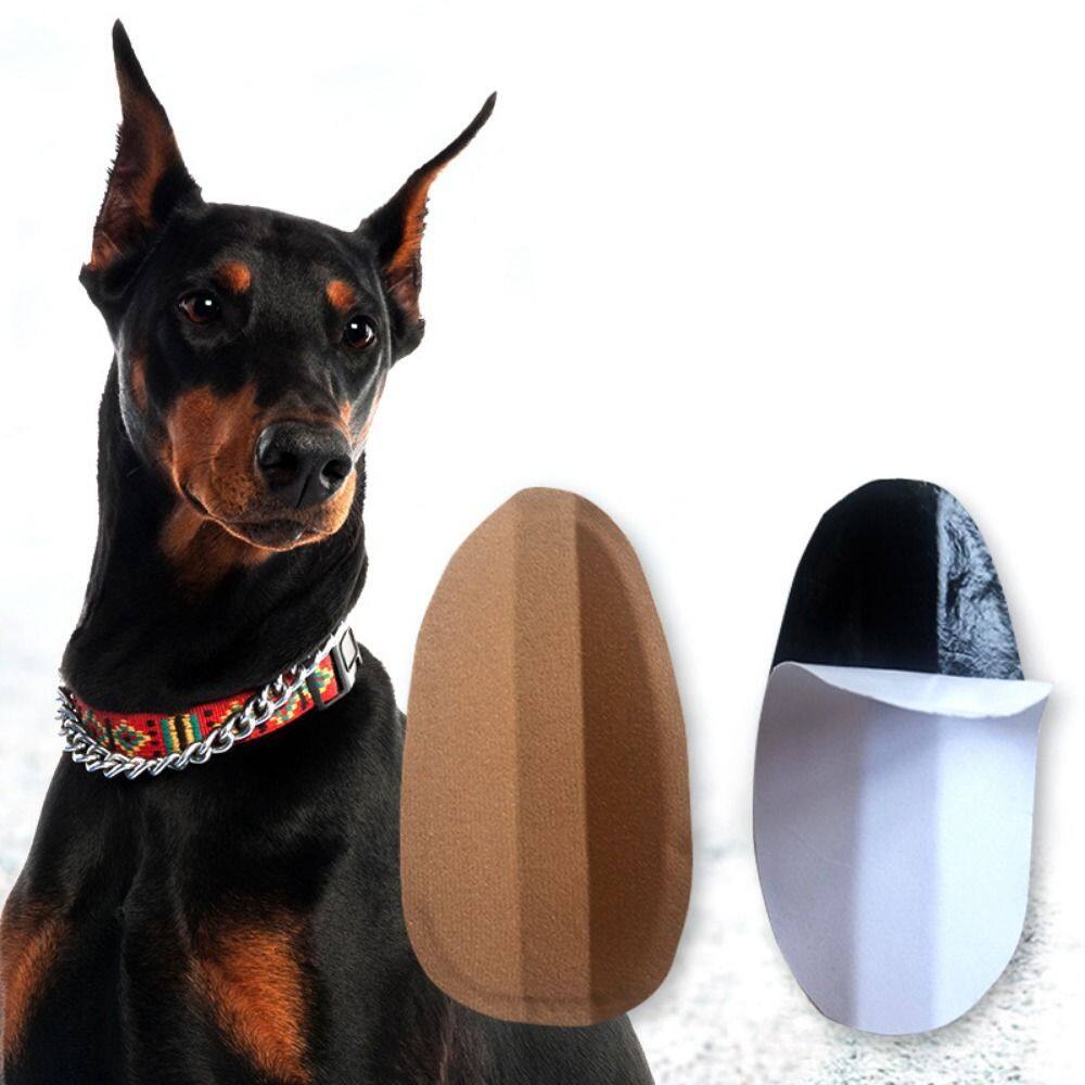 DFSID Self-adhesive Support Doberman Pinscher Dog Correct Ear Erector Dog Supplies Dog Ear Stand Up Stickers Dog Ear Erector Ear Care Tools