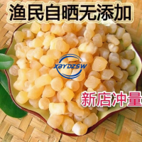 [Quick Shipment] Dried Scallop Meat Wild Yuan Scallops Dried Bedding Seafood 500g