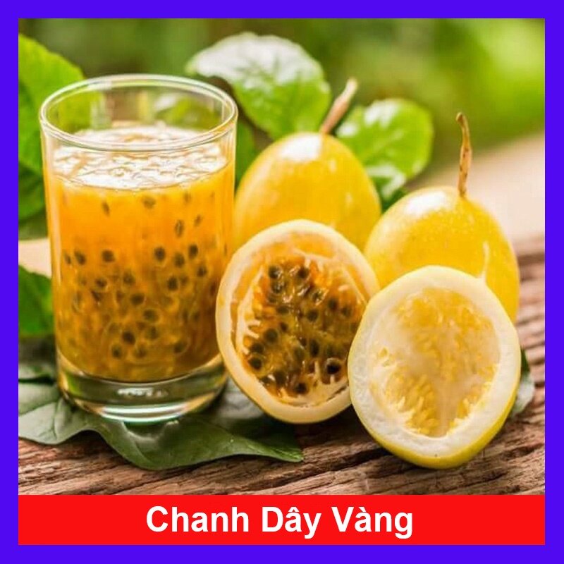 Cây Chanh Dây Ngọt Vàng - 3 tháng cho trái