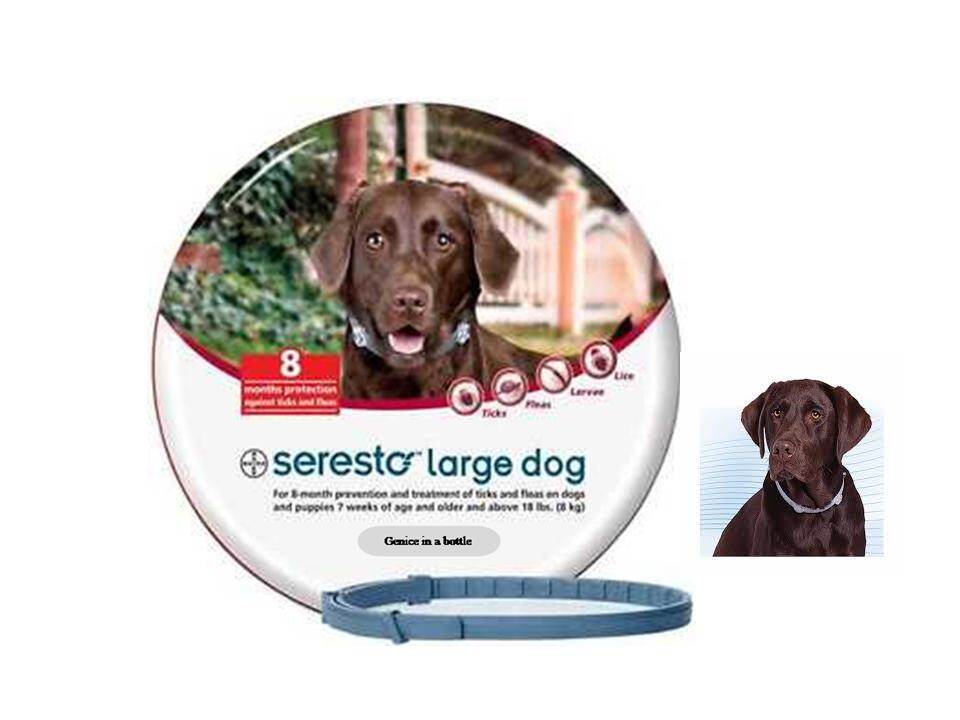 Seresto Dog Collar