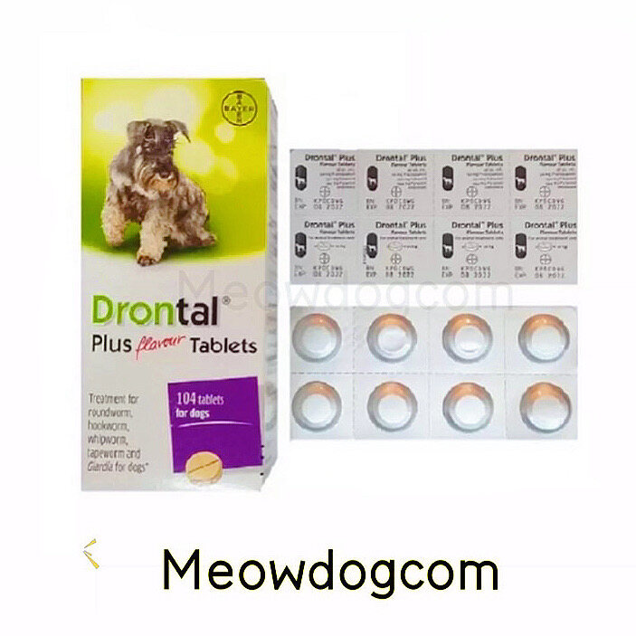 bayer drontal plus flavour