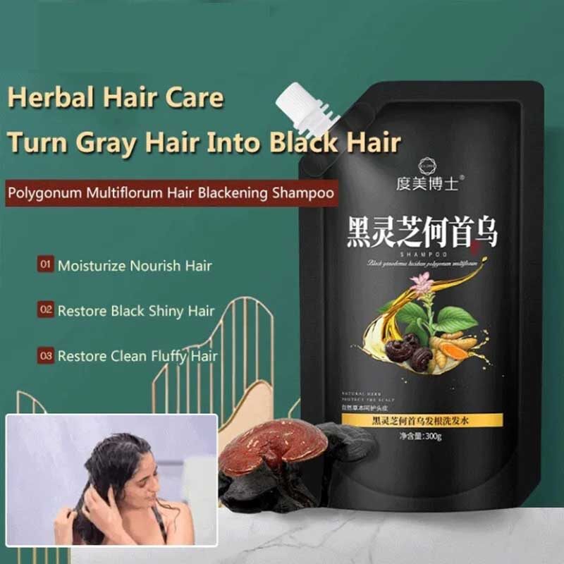 Đen Ganoderma polygonum multiflorum dầu gội công thức thảo dược tự nhiên làm sạch và làm mượt tóc tóc xù