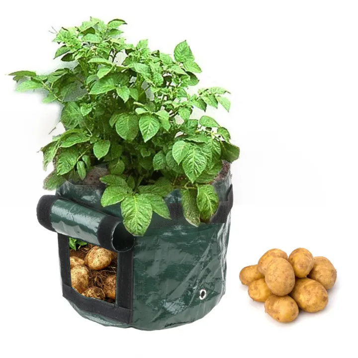 Vegetable Plant Grow Bag Pe Cloth 1pcs Planting Container Bag Thicken Garden Pot Home Garden Tool Diy Potato Grow Planter Lazada