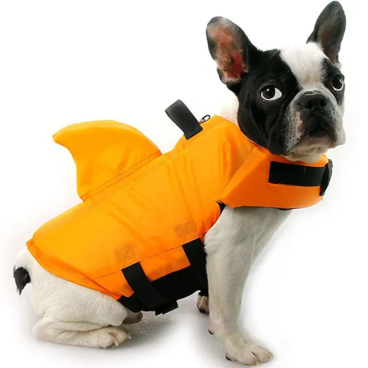 doggie swim vest