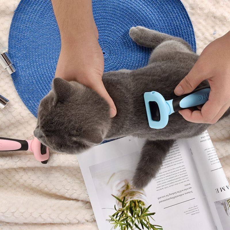 Lược Chải Lông Cho Chó Và Mèo