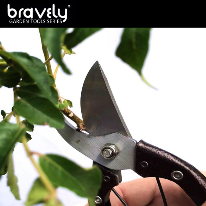 BRAVELY JAPANESE STYLE CURVED TIP PRUNING SHEAR (TGS-04)