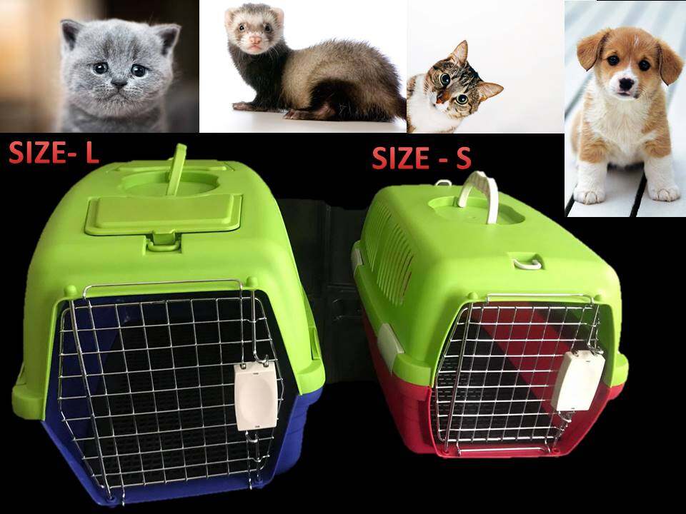 cat carry box