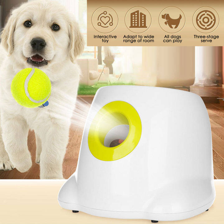 automatic ball machine for dogs