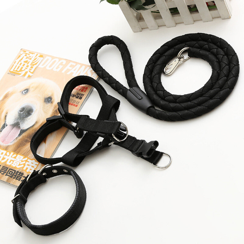 chain leash for small dog