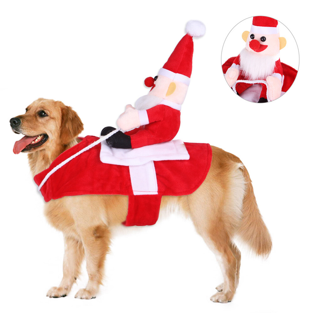 dog christmas clothes