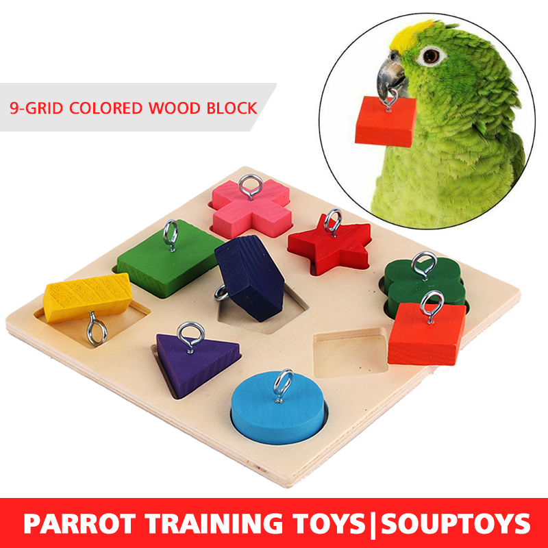 Curated visual reference: Mapiuo 1Set Pet Educational Toys Birds Parrot Training Wooden Block Photo Inspiration