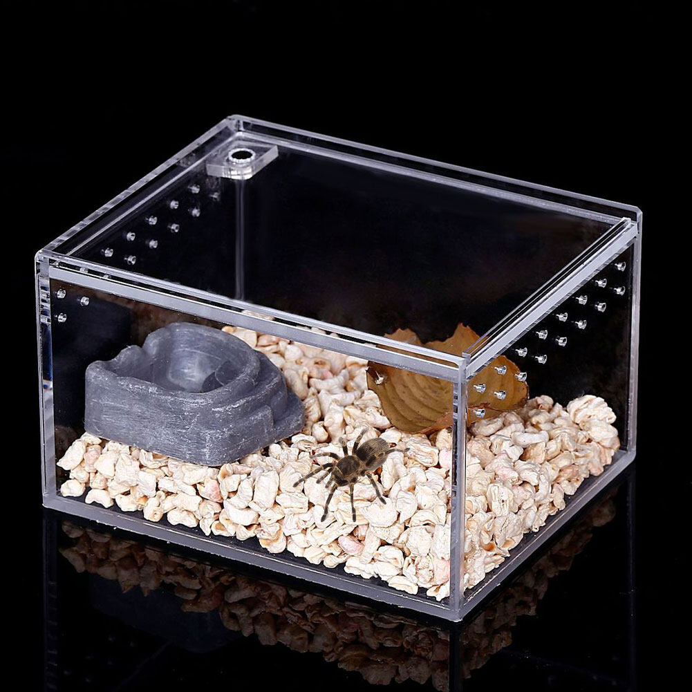 Reptile breeding box Clear Acrylic Reptile Feeding Box Multipurpose ...