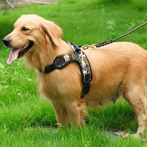 zhikeng® Large Dog Harness Soft Adjustable Training Harness Pet Walk Out Hand Strap Vest